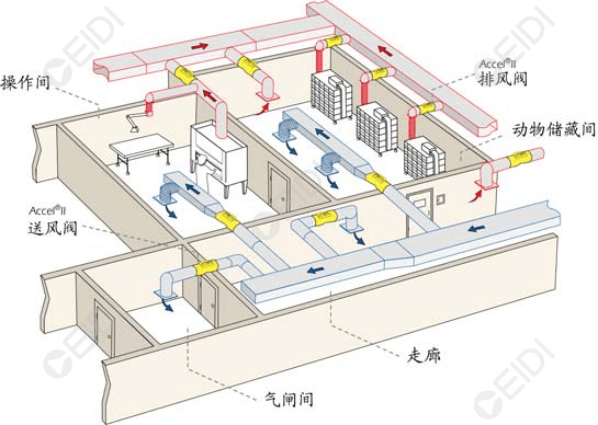 動物房潔凈室空調設計:開放式籠架具屏障環(huán)境送回風設計要點  CEIDI西遞 動物房潔凈室空調設計:開放式籠架具屏障環(huán)境送回風設計要點  CEIDI西遞