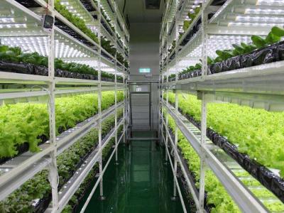 組培實驗室裝修工程:建筑平面布置和結構技術