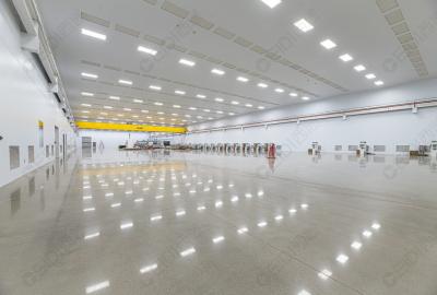 研究揭示肺炎免疫新機制,為臨床診治提供新靶點
